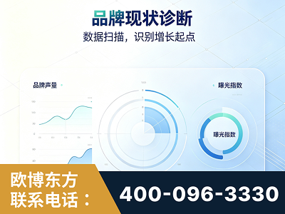 杭州-品牌现状诊断